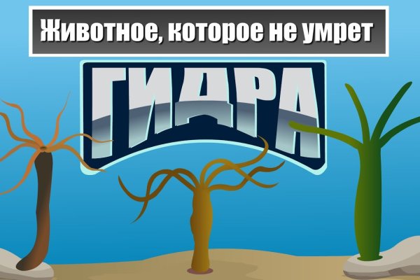 Кракен нарко маркетплейс